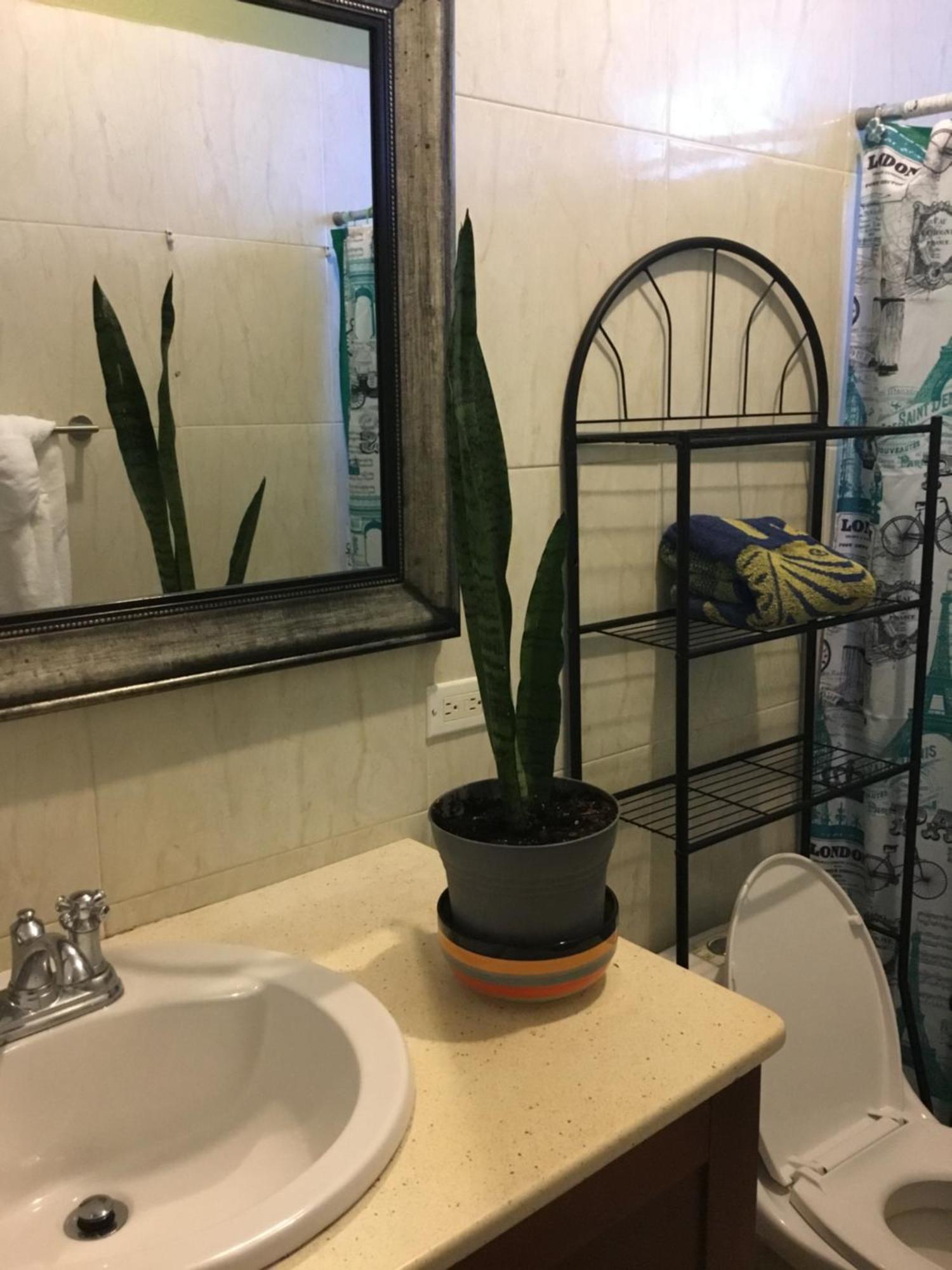 Abigail'S Spectacular 2 Bedrooms-Entire Apartment Wesley Will 外观 照片